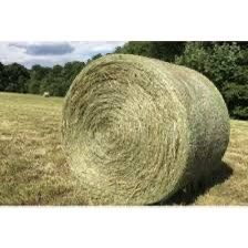 Rounds $40 Square Bales,  $5 Horse Quality 