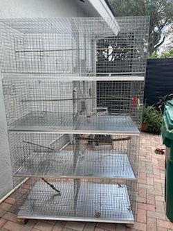 Bird Cage