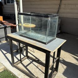20 Gallon Aquarium And Stand 
