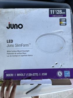 LED dimmable Light
