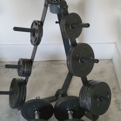 Adjustable Dumbells With 200 Lb Weights