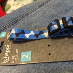 Dog Collar 