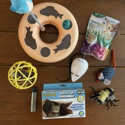 Cat Toys