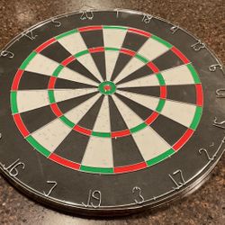 Regulation Dart Board (Professor Puzzle) 