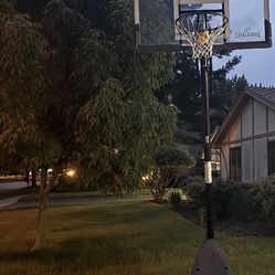 Spalding 54in Basketball Hoop