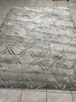 SAFAVIEW 8x10 Area Rug 