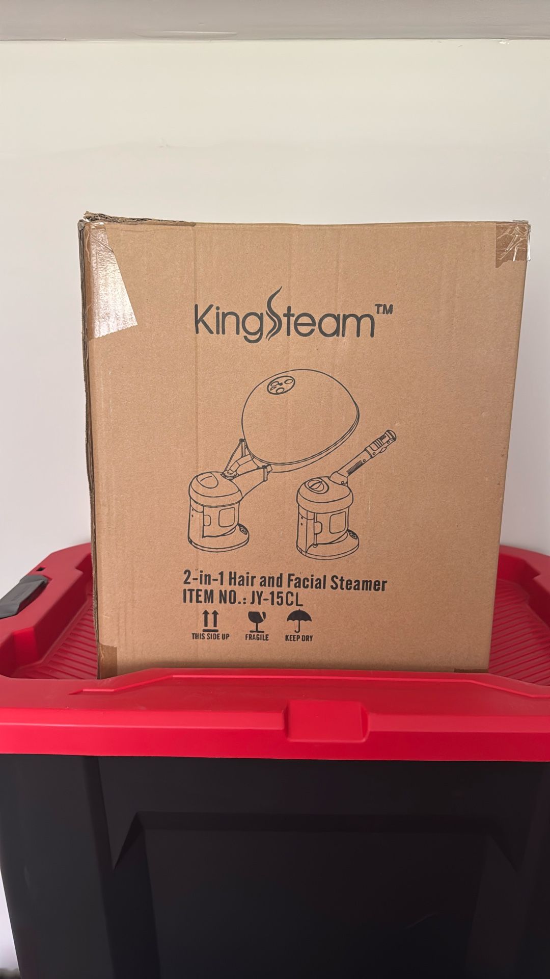 Hair and Facial Steamer