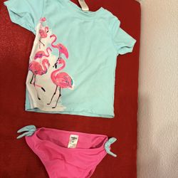 Kids Girls Size 4T Flamingo Bathing Suit - Simi valley 