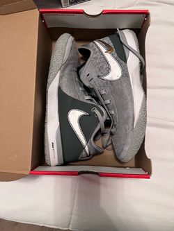 Nike Basketball Sneakers Gray White LeBron James