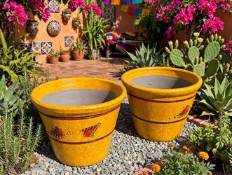 2x$70 Yellow Clay Planters or $40 each