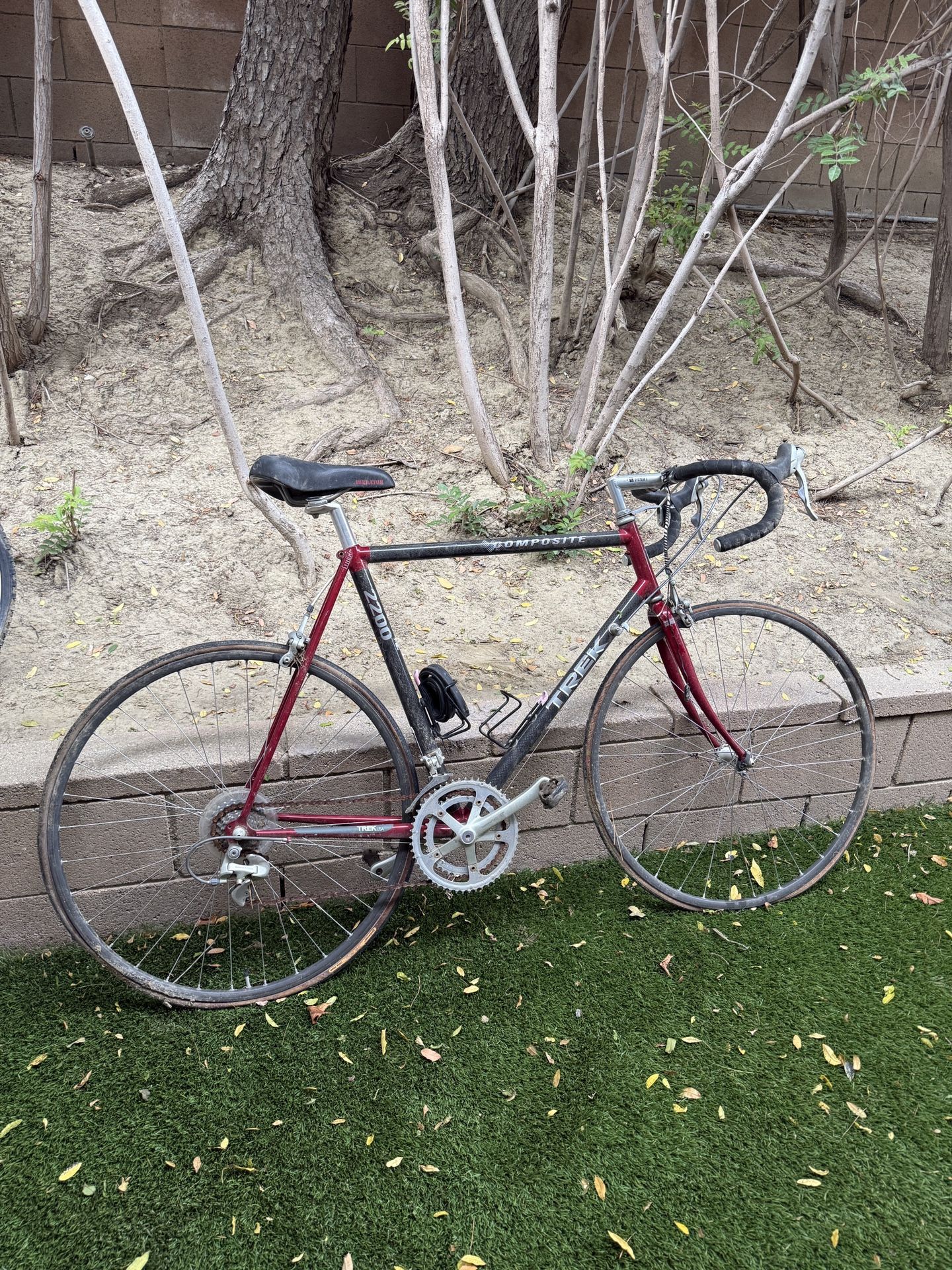 TREK Composite 2200 Road Bike