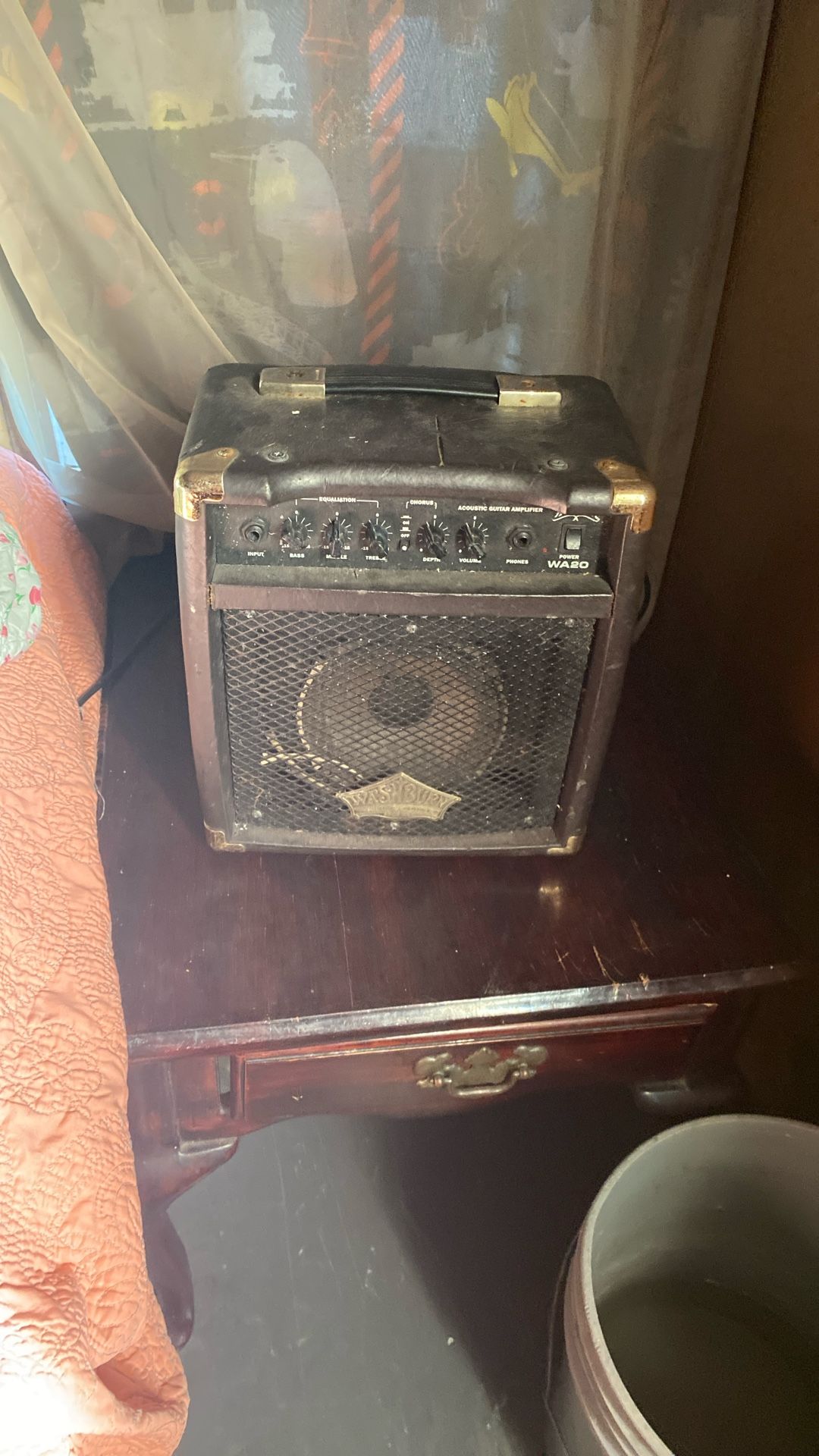 Washburn acoustic guitar amp