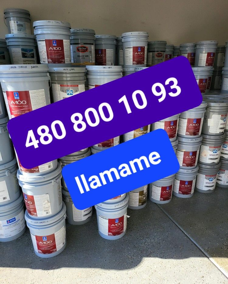 Pintura Ala Venta
