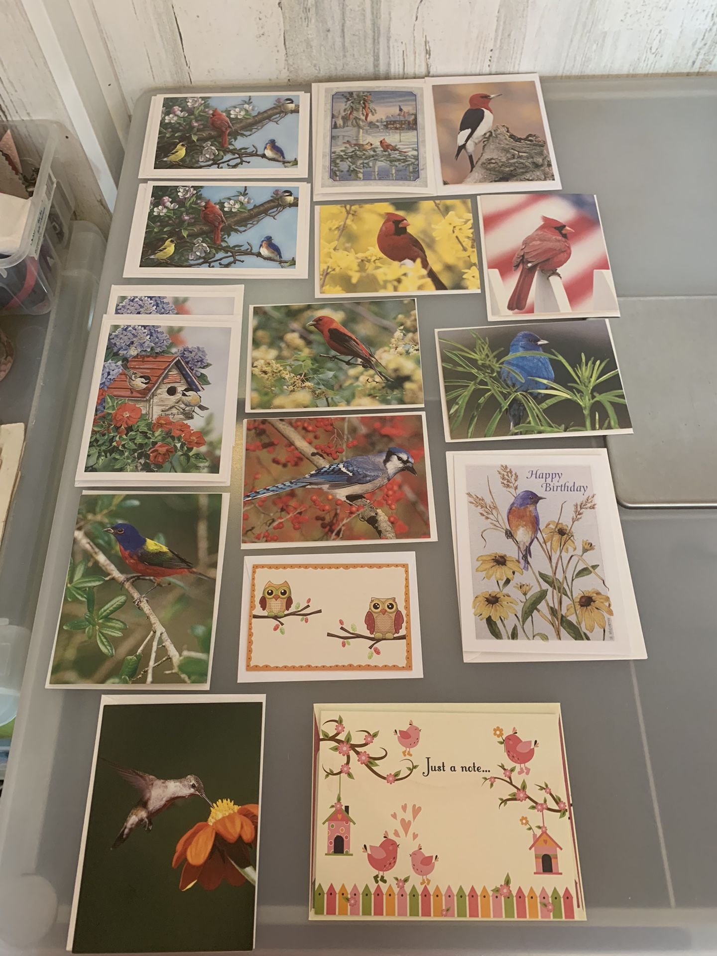Lot of 16 Note Cards & Greeting Cards - Bird Themed #020524A4