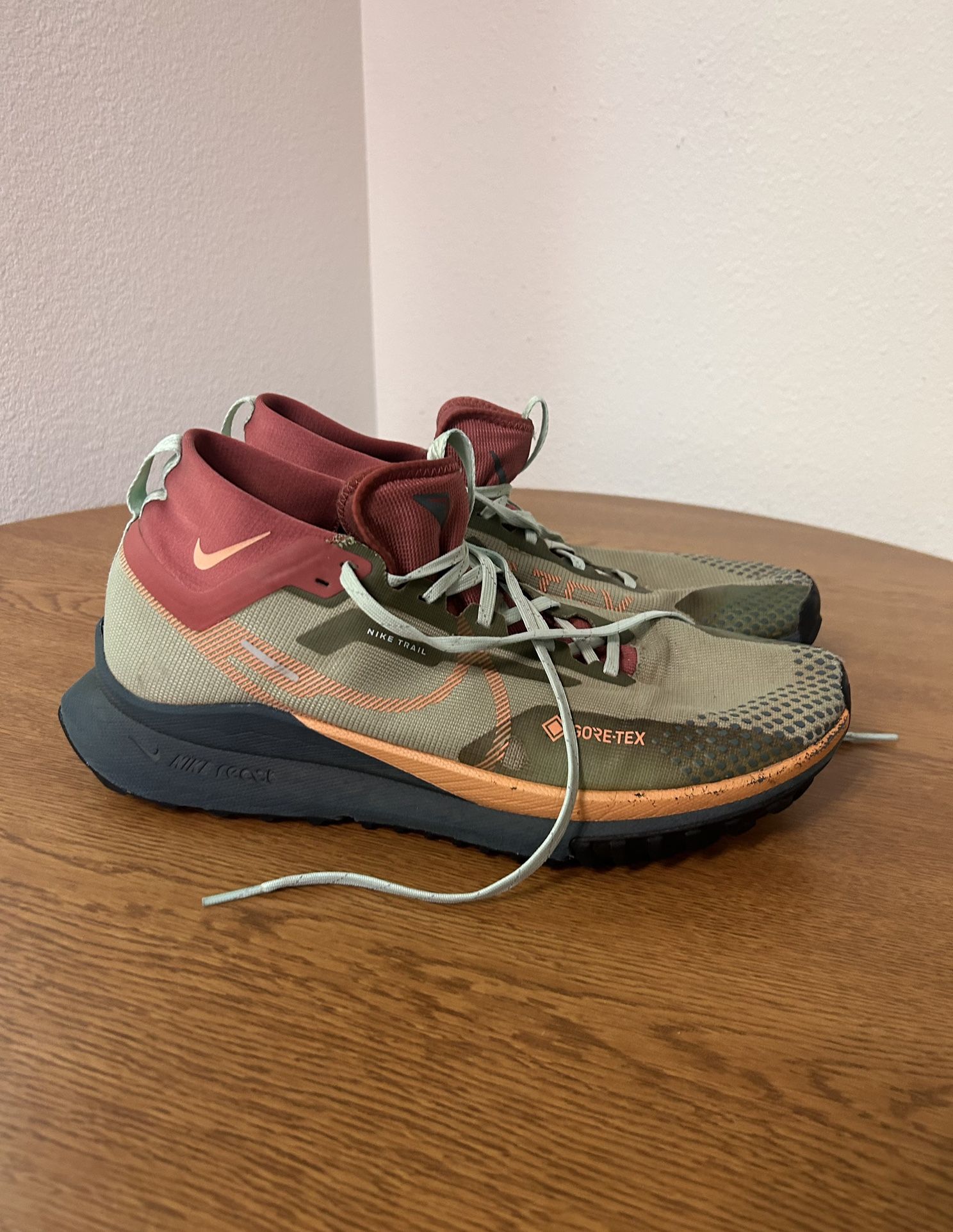 Nike Trail 4 GTX - Size 12