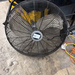 Fan