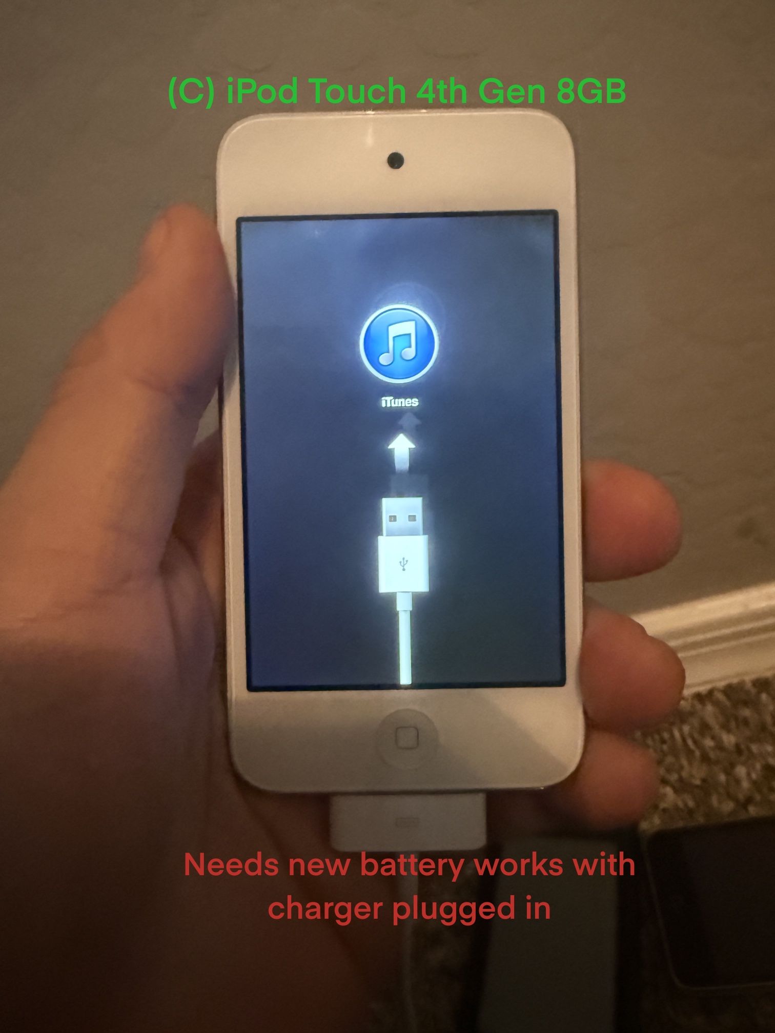 iPod Touch 4th Gen 8GB