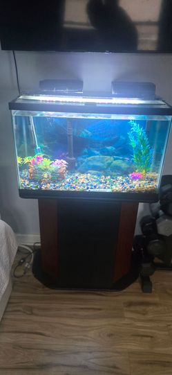 55 Gallon Aquarium Complete Setup w/ Stand & Filter
Large Fish Tank Bundle – Stand, Filter, Decorations Included
Ready-to-Use Aquarium Setup.