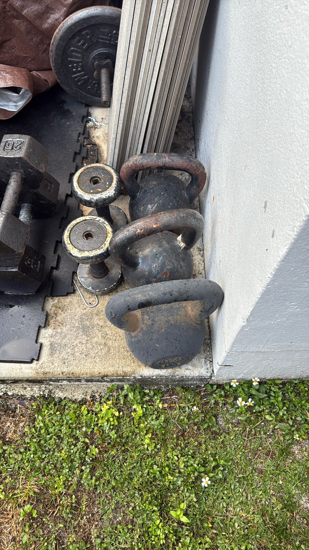 Gym Equipment kettlebell 