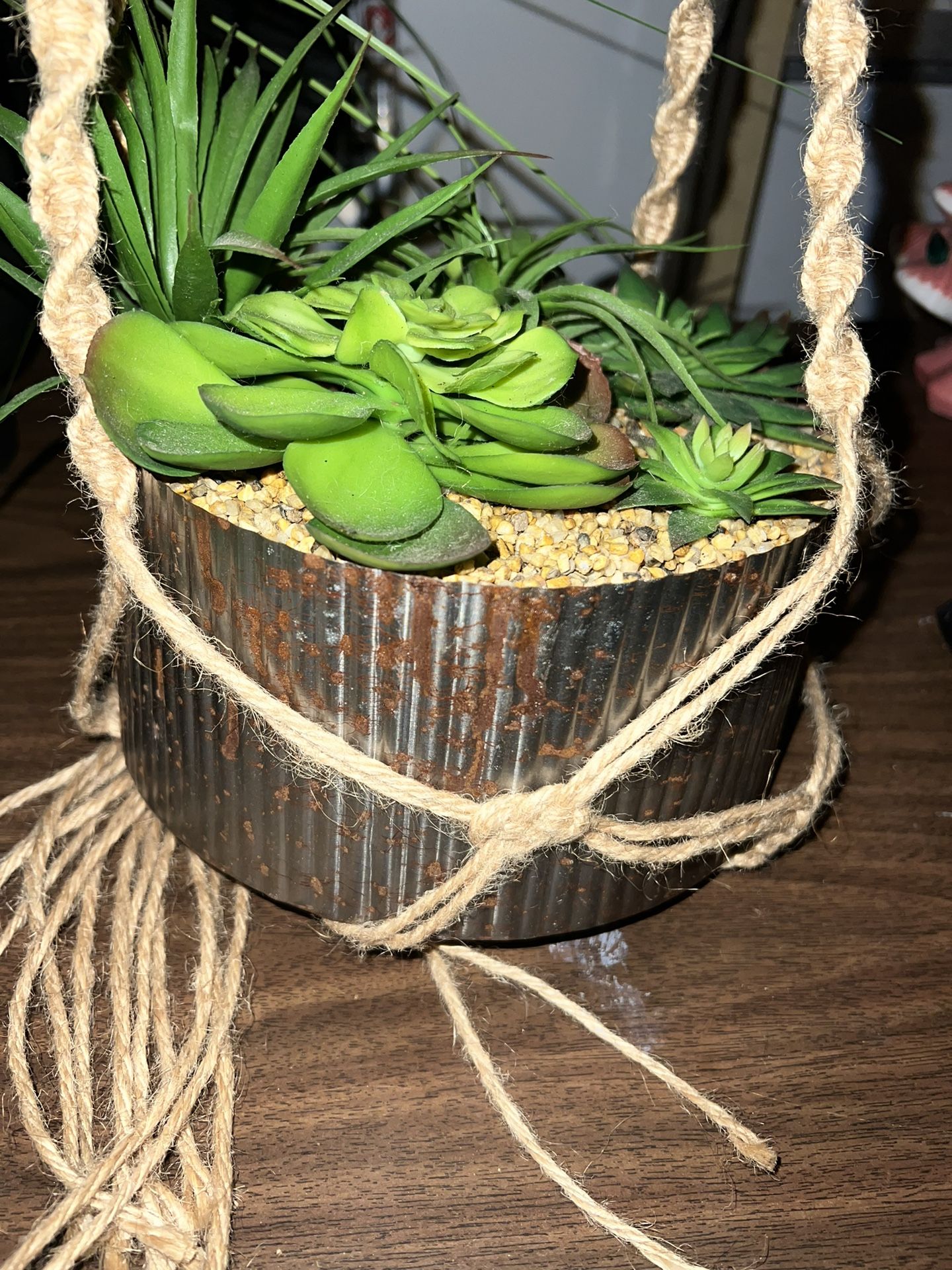 PLANTS