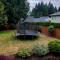 14' Trampoline!