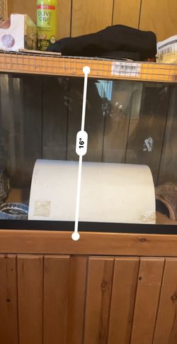 Fish Or Rep Tilian Tank