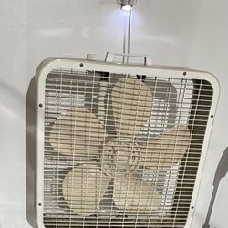 Heavy Duty Box Fan 