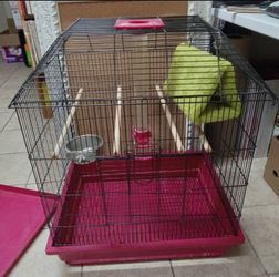 Bird Cage For Sale
