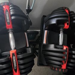 Dumbbells 1090