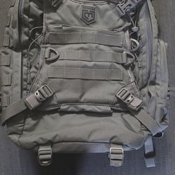 Cannae Pro Gear Phalanx backpack (sage green)