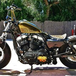 2013 Harley Davidson Sportster