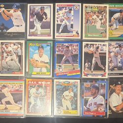 Wade Bogs Collection 25pk