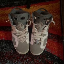 Jordan 6s cool grey