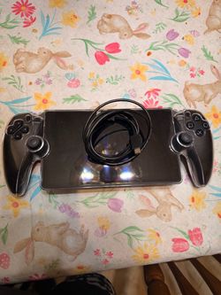 Ps portal