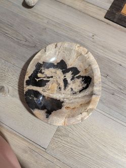 Petrified wood dish