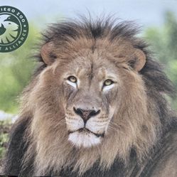 (4) 50% off Zoo/Safari tickets $60.00