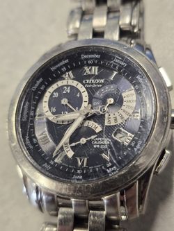 Citizen Men’s Eco-Drive Perpetual Calendar Calibre 8700 Watch BL8000