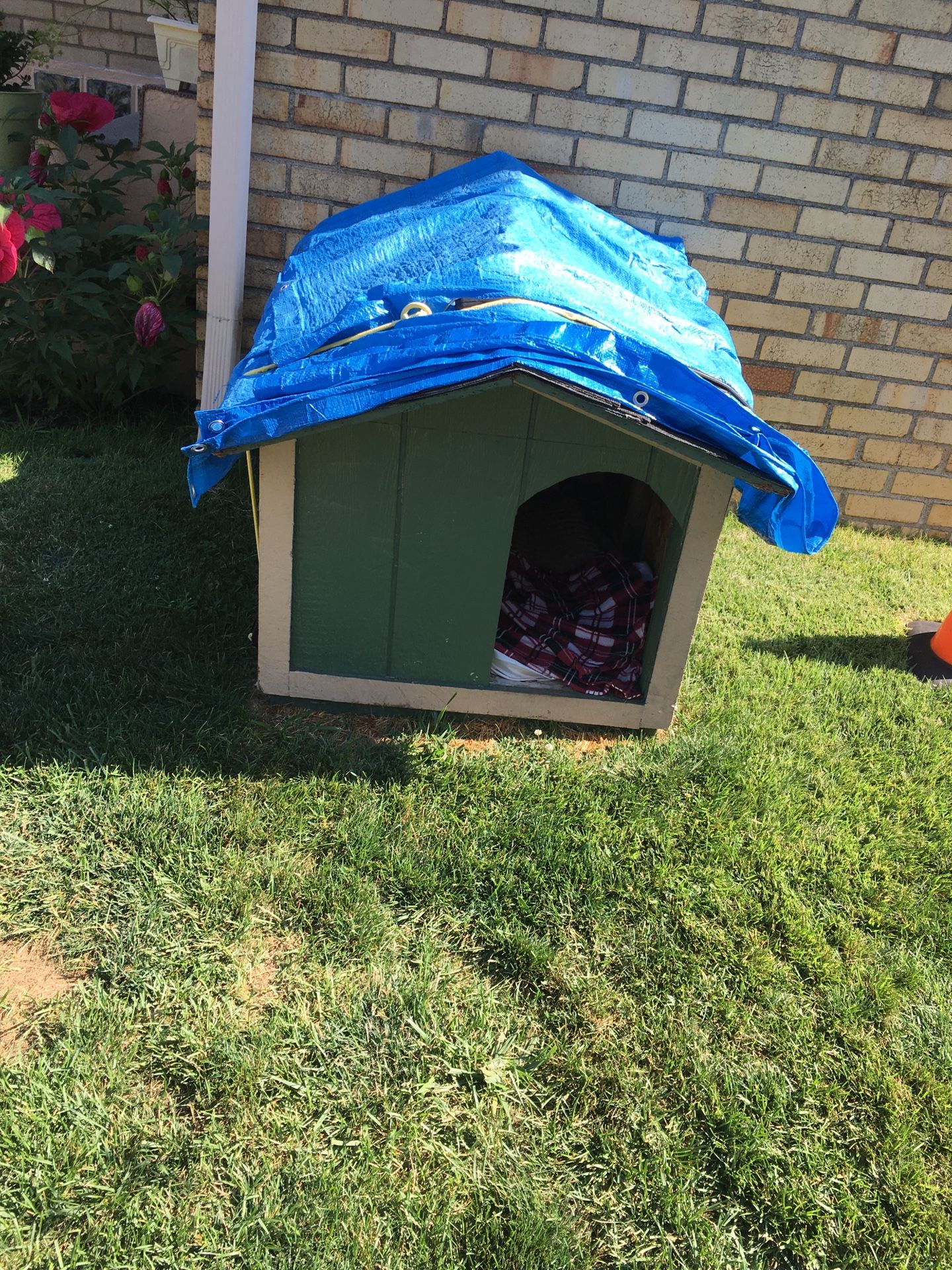 Dog house