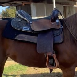 American Saddle