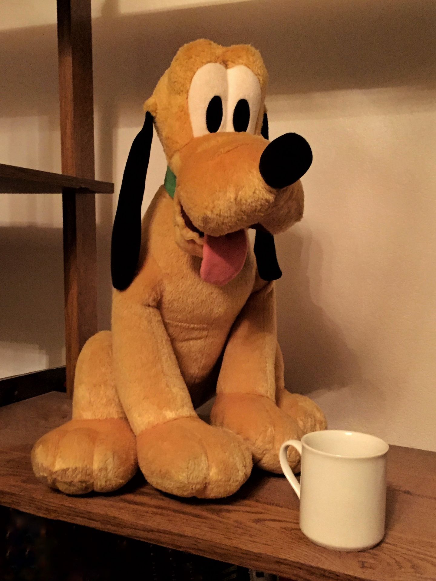 Take Pluto Home! plush toy dog from Disney World