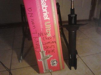 1(contact info removed) CHEVY LUMINA STRUTS PAIR NEW