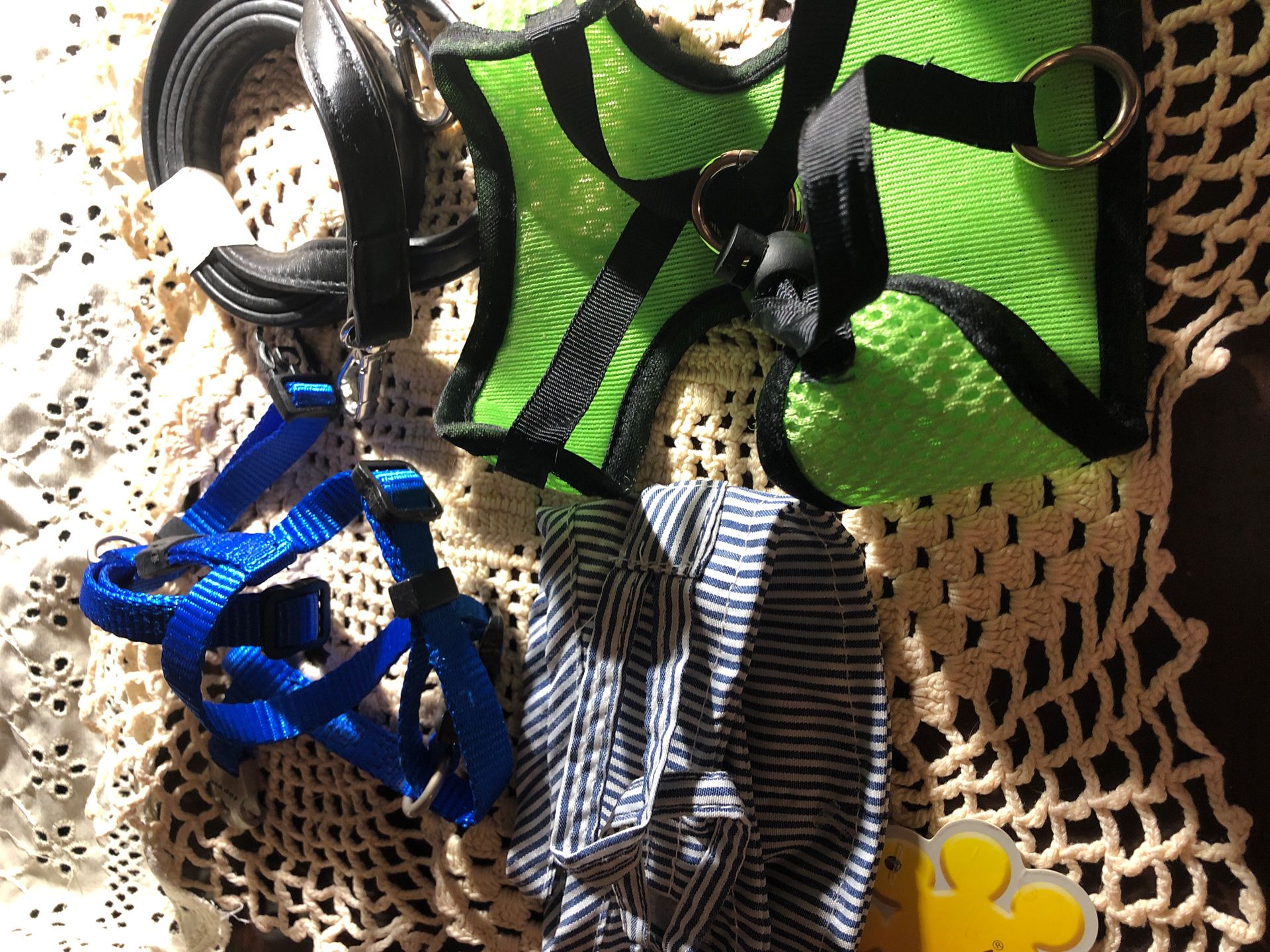 Under 5lbs dogs leash and harness