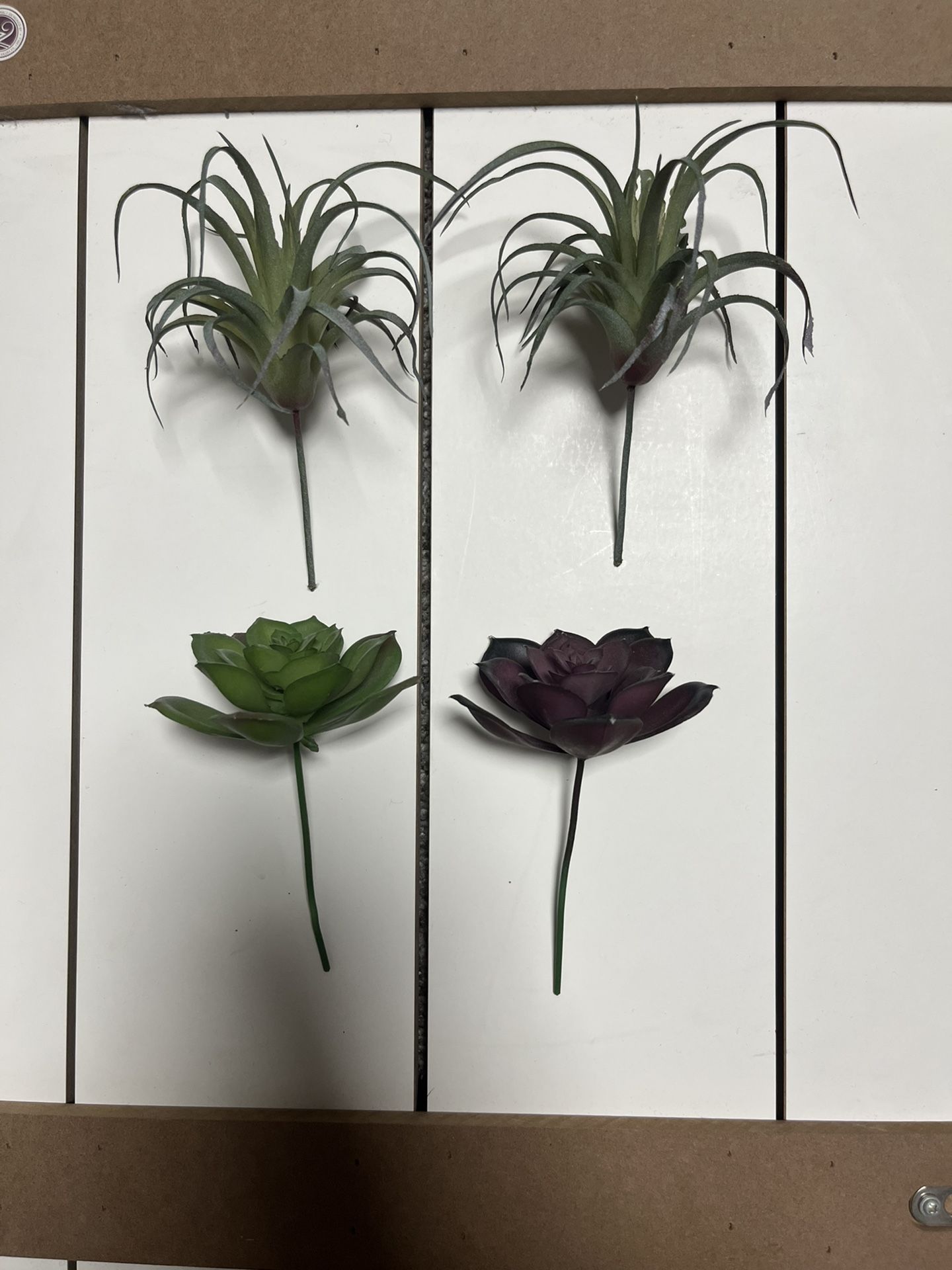 Faux Succulents