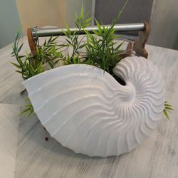 Beautiful Ceramic While Seashell Wall Plant Holder With 2 Holes In Back To Hang Inclued  Fake Hanging Vine Great For Bathroom Bedroom  Living  30 Obo