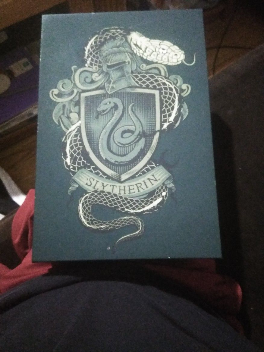 Harry Potter Slytherin Luminart Green Good Condition