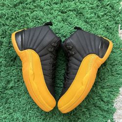 Jordan 12 Size 9 Mens 