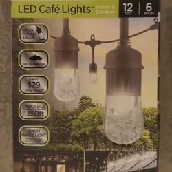 LED Indoor/outdoor String Cafe Lights