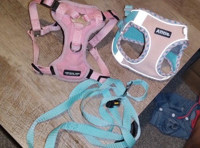 Puppy Harness (2)