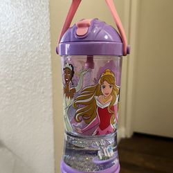 Disney Princess Stainless Steel Water Bottle with Built-In Straw