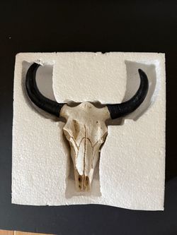 Bull Skull with Black Horns Wall Decor – Western Gothic Halloween Decoration